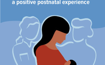 WHO (2022).  WHO recommendations on maternal and newborn care for a positive postnatal experience.